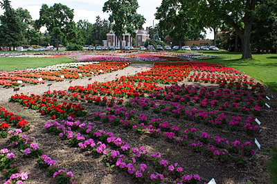 flower beds