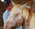 Cloud and Will at Four Directions Horse Farm