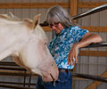 Cloud and Colleen at Four Directions Horse Farm