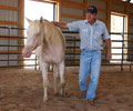 Cloud and Will at Four Directions Horse Farm