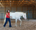 Cloud and Kris at Four Directions Horse Farm