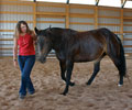 Jay with Kris at Four Directions Horse Farm