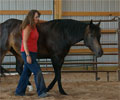 Jay with Kris at Four Directions Horse Farm