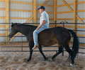 Jay with Will at Four Directions Horse Farm