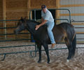 Jay with Will at Four Directions Horse Farm