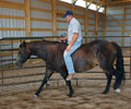 Jay with Will at Four Directions Horse Farm