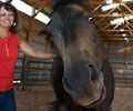 Jay with Kris at Four Directions Horse Farm