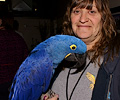 Felicia and a Hyacinth Macaw