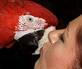Kim and her Green Wing Macaw