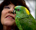 Yellow Front Amazon Parrot at the RMSA Exotic Bird Festival