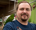 Hahn's Macaw at the RMSA Exotic Bird Festival