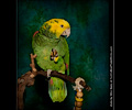 Amazon Parrot at the Rocky Mountain Bird Expo