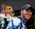 Tour de Corgi 2017