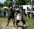 Medieval Festival Fighters