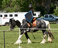 Medieval Festival Order of Epona