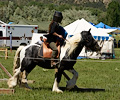 Medieval Festival Order of Epona