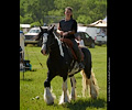 Medieval Festival Order of Epona