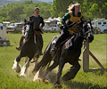 Medieval Festival Order of Epona