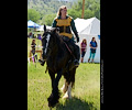 Medieval Festival Order of Epona