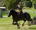 Medieval Festival Order of Epona