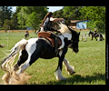 Medieval Festival Order of Epona