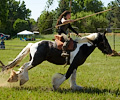 Medieval Festival Order of Epona