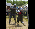 Medieval Combat