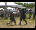 Medieval Combat