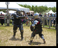 Medieval Combat