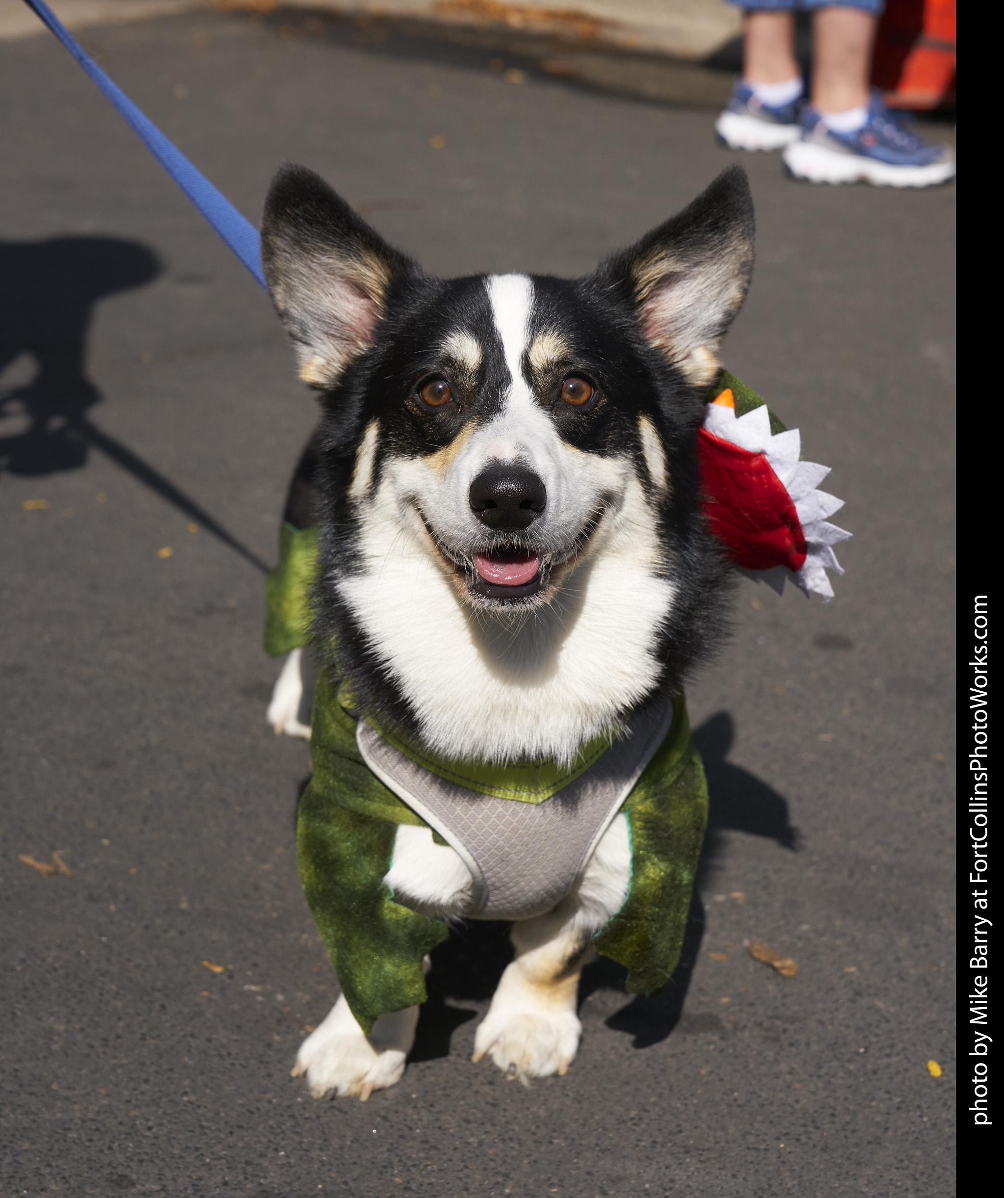 5th Annual Tour de Fort Collins Photo Works