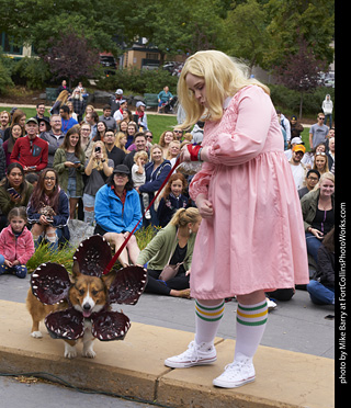 Tour de Corgi - Costume Contest - Demogorgon