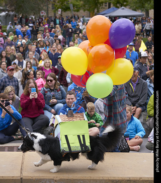 Tour de Corgi - Costume Contest - Up House