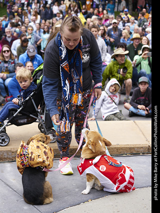 Tour de Corgi - Costume Contest - Cookies and Milk