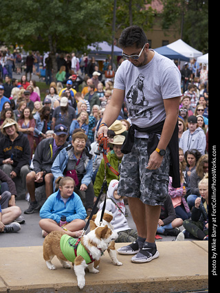 Tour de Corgi - Costume Contest