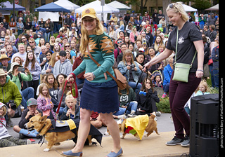 Tour de Corgi - Costume Contest - Batman and Robin