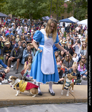 Tour de Corgi - Costume Contest - Alice in Wonderland, Tweedle Dee and Tweedle Dum