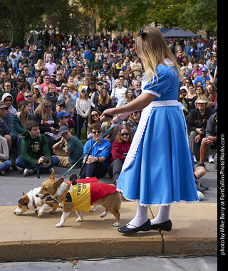 Tour de Corgi - Costume Contest - Alice in Wonderland, Tweedle Dee and Tweedle Dum