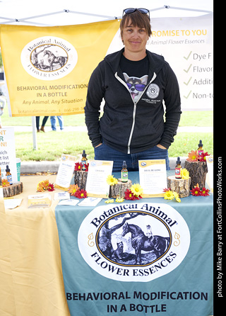 Tour de Corgi - Vendors