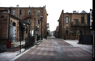 Old Town Fort Collins during COVID19