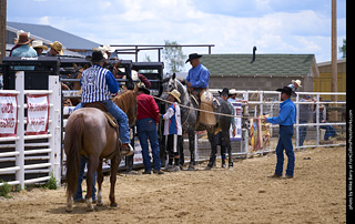 Never Summer Rodeo - Bareback Riding