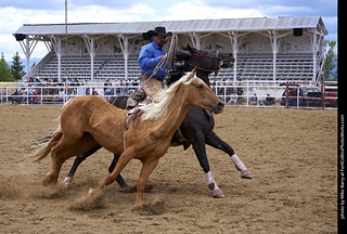 Never Summer Rodeo - Bareback Riding