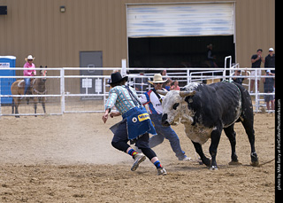 Never Summer Rodeo - Bull Riding