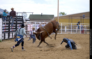 Never Summer Rodeo - Bull Riding