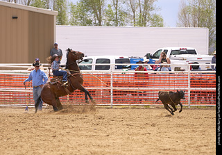 Never Summer Rodeo - Ladies Break Away