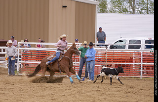 Never Summer Rodeo - Ladies Break Away