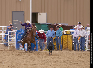 Never Summer Rodeo - Ladies Break Away