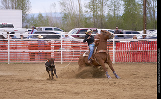 Never Summer Rodeo - Ladies Break Away