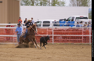 Never Summer Rodeo - Ladies Break Away