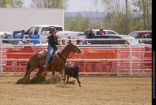 Never Summer Rodeo - Ladies Break Away