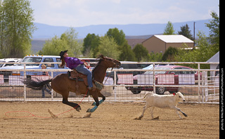 Never Summer Rodeo - Ladies Break Away